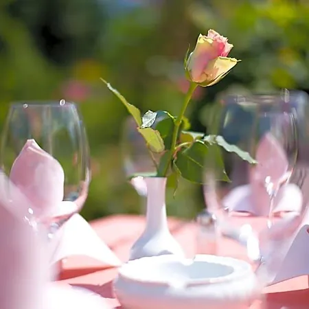 Hotel & Restaurant Kleinolbersdorf Chemnitz