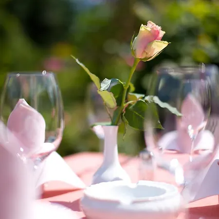 & Restaurant Kleinolbersdorf Ξενοδοχείο Κέμνιτς